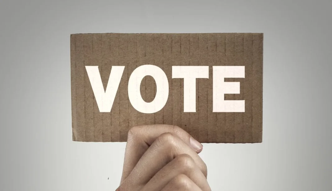 Accessible Voting Day Portsmouth