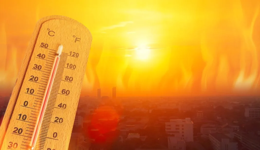 Amber heat warning issued for Hampshire