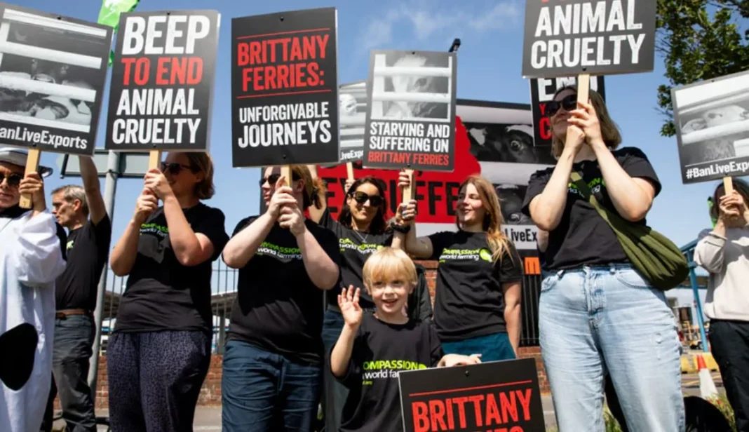 Brittany Ferries Protest