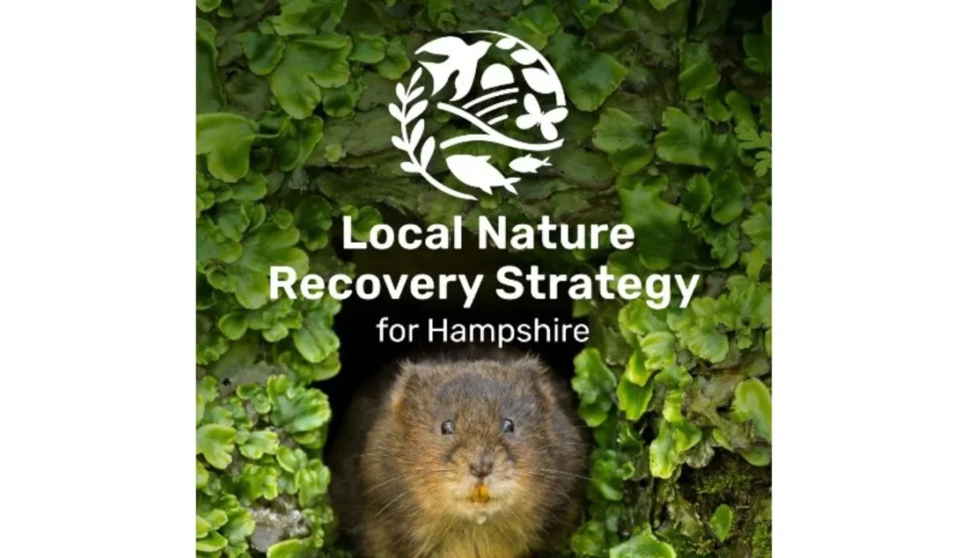 Comment on Hampshire biodiversity strategy