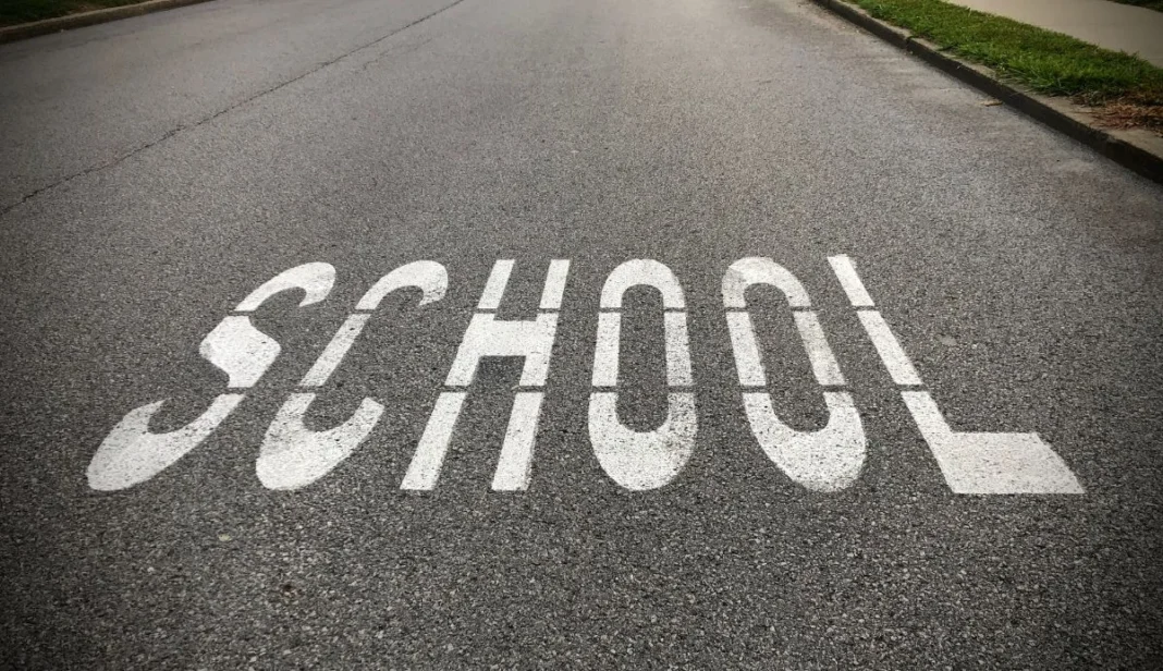 Consultation opens on Havant schools merger