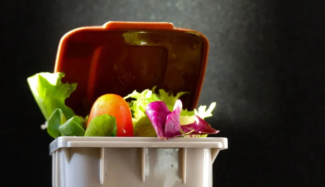 Hampshire Council Food Waste Recycling