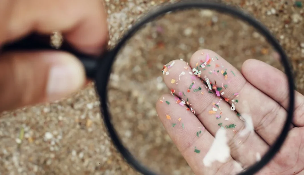 Microplastics Portsmouth university research