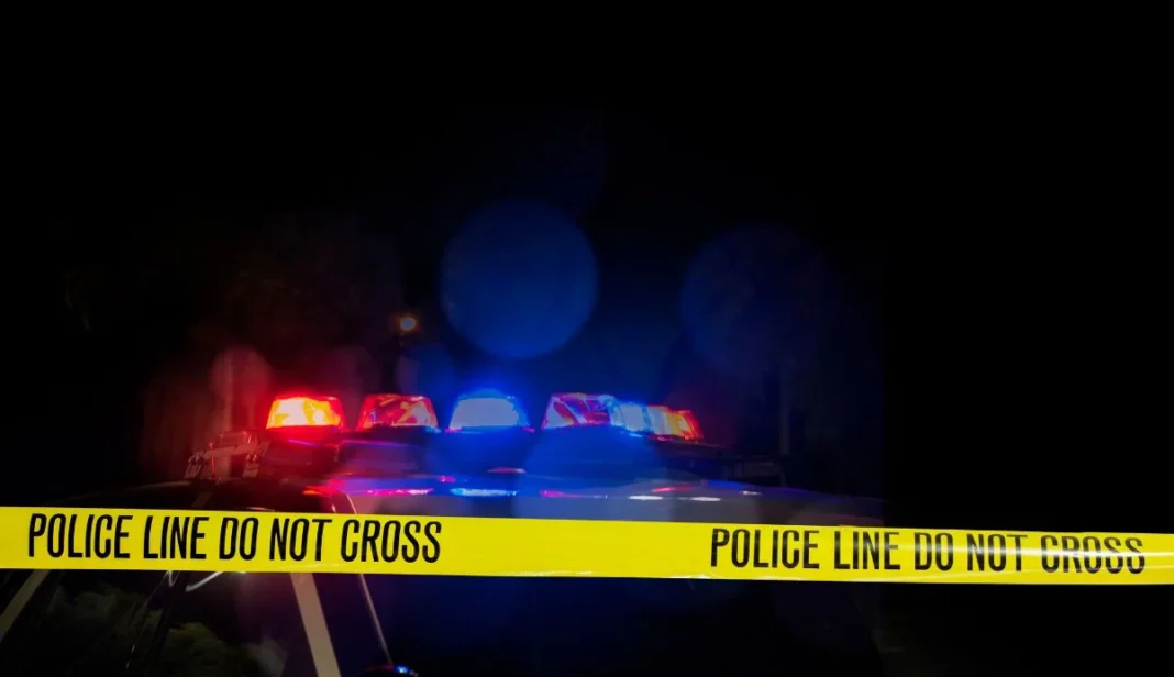 Police seek witnesses after vehicles vandalised in Bartley