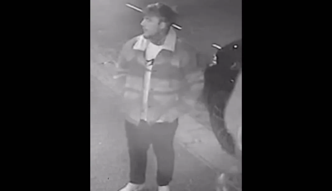 Ryde street attack CCTV