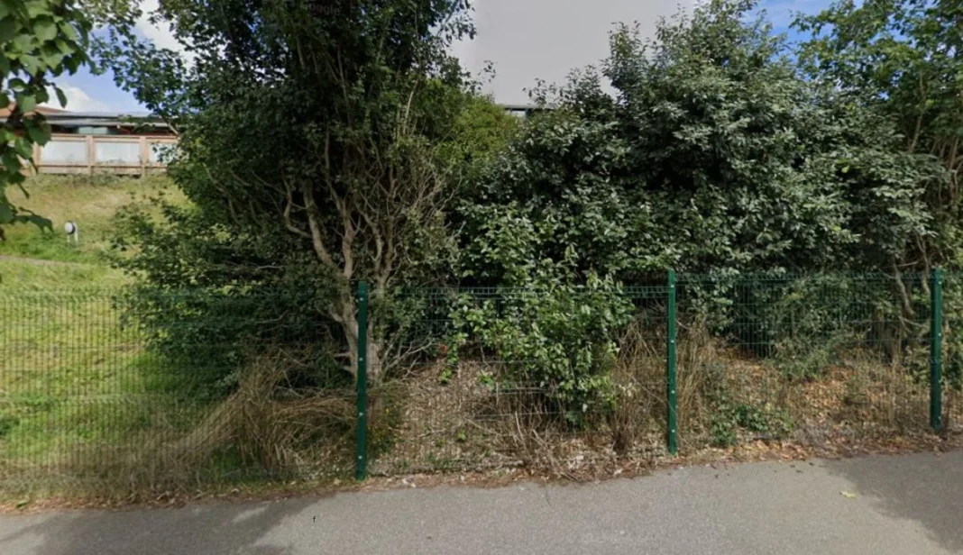 Solent Infant School Ofsted