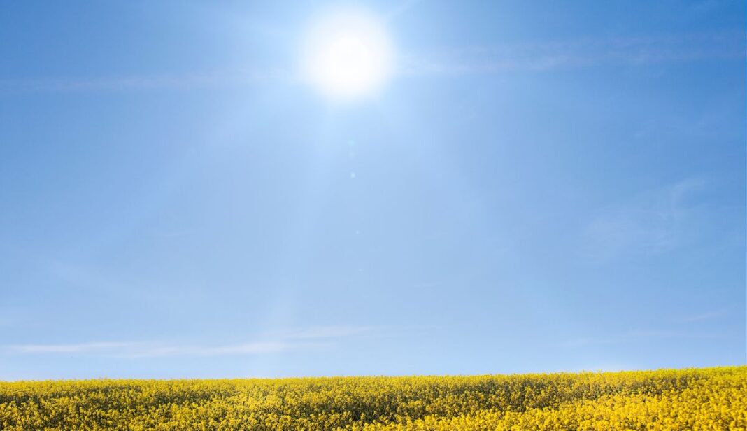 Sunshine and warmth Hampshire this week