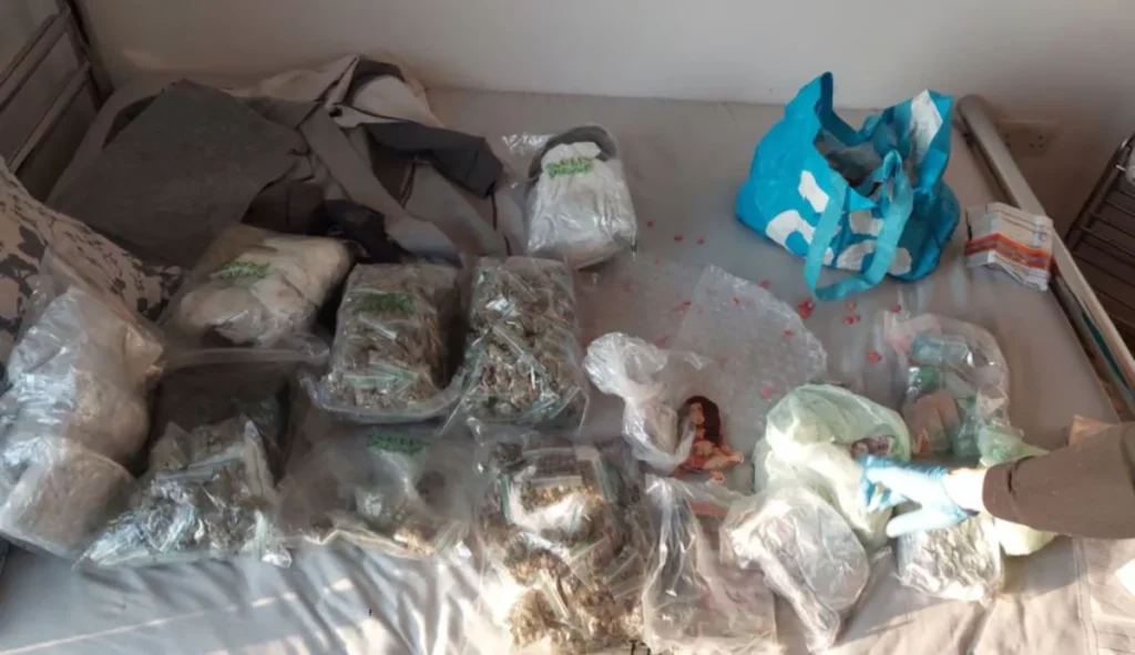 Extensive seizure included cocaine, cannabis, ketamine, magic mushrooms, ecstasy, steroids, THC vapes, edibles and additional unidentified substances.