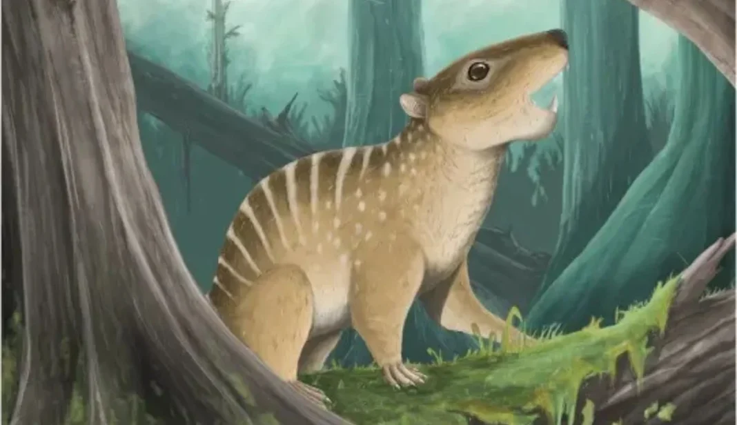 Portsmouth Student Unearths 145-Million-Year-Old Mammal
