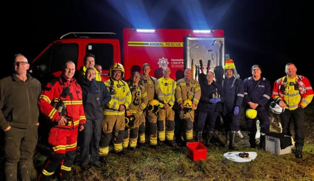 Cow head stuck trees rescue team