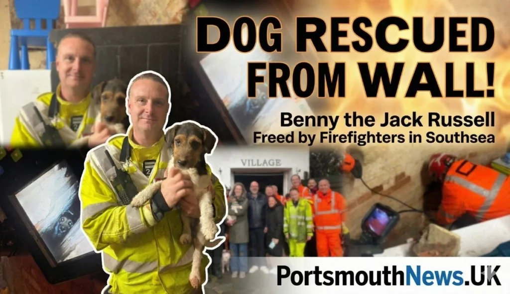 Dog rescued Portsmouth