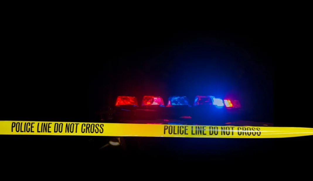 John Wagstaff pleads guilty to shoplifting in Basingstoke