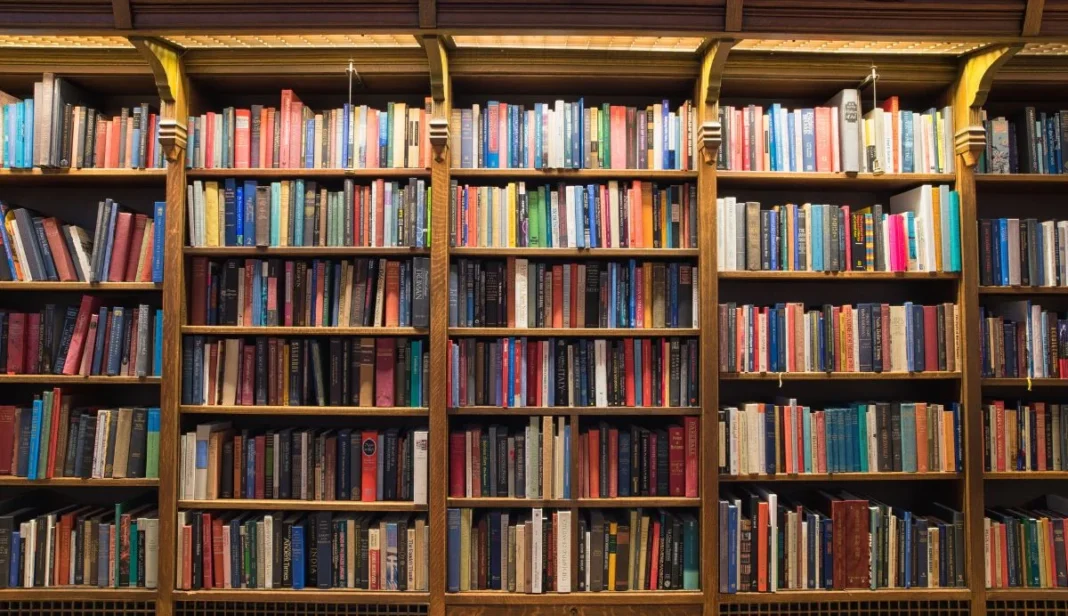 Portsmouth libraries’ support