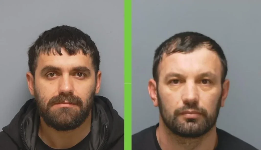 cannabis factory Portsmouth court result