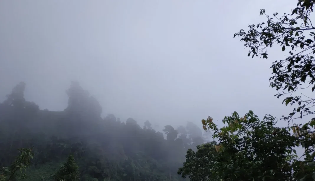 Portsmouth Weather overcast